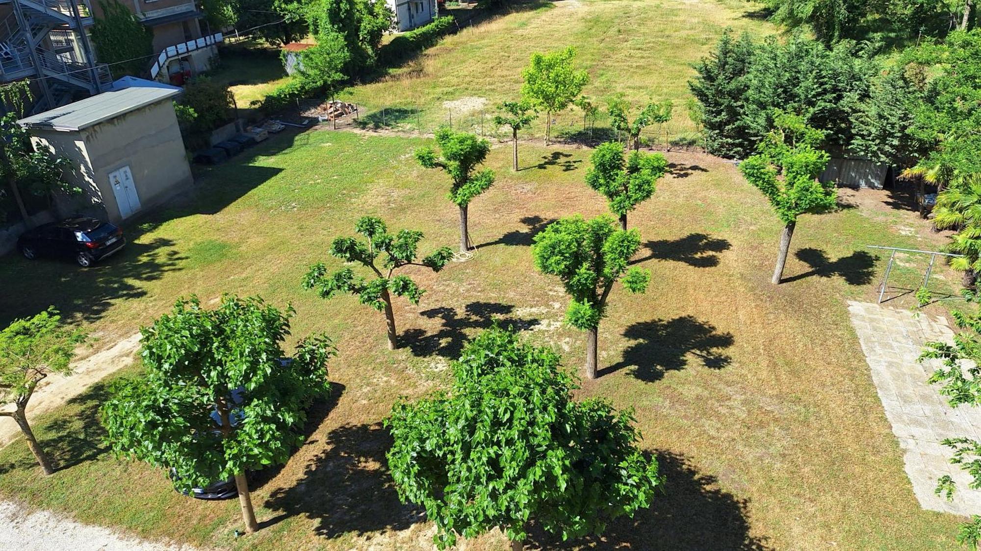 Hotel Massimo Cervia Luaran gambar